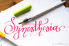 Pilot Parallel Pen Hand Lettering Calligraphy Set