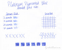 Platinum Pigmented Blue - Ink Sample