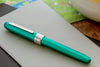 Platinum Plaisir Fountain Pen - Teal Green (Special Edition)