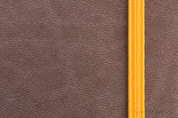 Rhodia Rhodiarama A5 Webnotebook - Chocolate, Lined