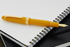 Sailor 1911L Fountain Pen - A Pirate's Life