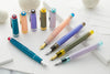 Sailor Pro Gear Slim Manyo Fountain Pen Set - Willow (Special Edition)