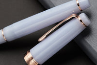 Sailor Pro Gear Fountain Pen - Every Rose Has Its Thorn (Limited Edition)