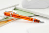 Visconti Homo Sapiens Demo Stones Fountain Pen - Mandarin Garnet