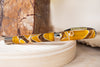Visconti Opera Master Fountain Pen - Savanna (Limited Edition)